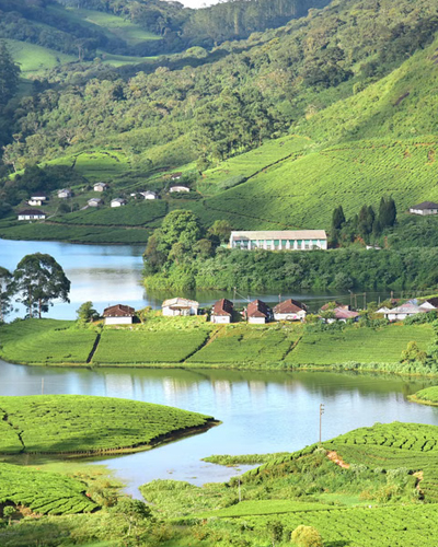 Thekkady
